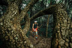 BIB: 
                            <button type="button" onclick="openModal(25668729)" class="btn btn-primary btn-sm float-right btn-popup" data-toggle="modal" data-target=".modal-high-quality">
                        <i class="fas fa-shopping-cart"></i> Add to Cart
                    </button>
                                            <button type="button" onclick="isThisMe(25668729, true)" class="btn btn-success btn-sm float-right btn-popup btn-isme hidden" data-toggle="tooltip" data-placement="bottom" title="นี่คือรูปของคุณใช่ไหม คลิกที่นี่เพื่อเอาเข้าอัลบั้ม">
                        <i class="fas fa-plus"></i> Add to album
                    </button>
                    <button type="button" onclick="isThisMe(25668729, false)" class="btn btn-warning btn-sm float-right btn-popup btn-isnotme hidden">
                        <i class="fas fa-ban"></i> Remove from album
                    </button>